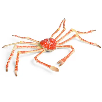 Pók, Rák Ábra Majidae Óceán Állat Rákok Modell Gyűjtő Dekoráció Ajándék Játék Miniatűr Megismerés Oktatási Játékok